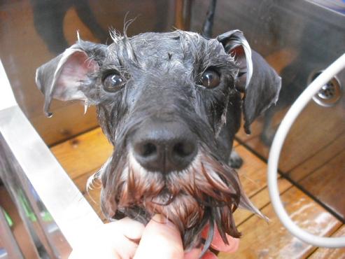 ファイル 64-2.jpg