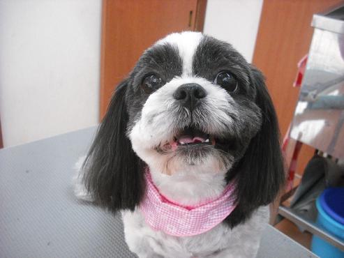 ファイル 640-1.jpg