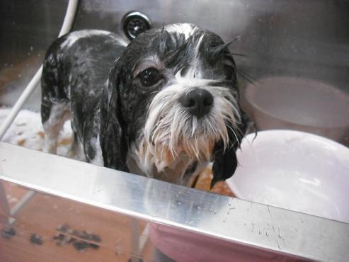 ファイル 640-2.jpg