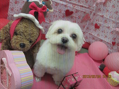 ファイル 6400-1.jpg