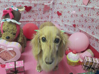 ファイル 6401-1.jpg