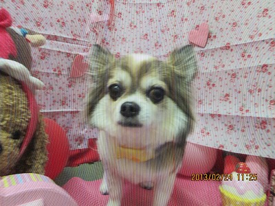 ファイル 6403-1.jpg