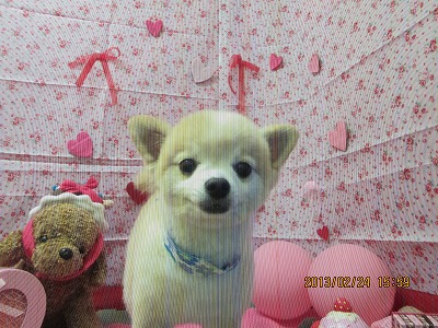 ファイル 6404-1.jpg