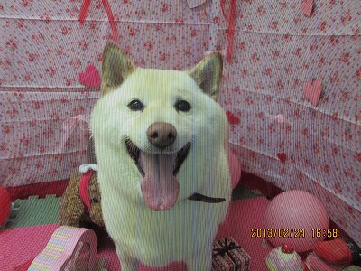 ファイル 6406-1.jpg