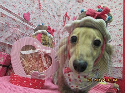 ファイル 6407-1.jpg