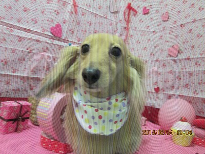 ファイル 6407-2.jpg