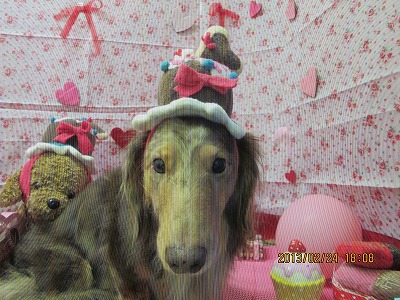 ファイル 6408-1.jpg