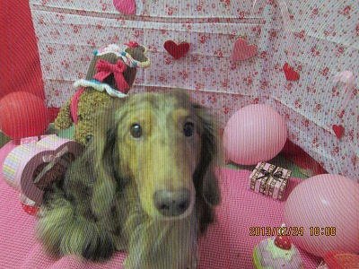 ファイル 6408-2.jpg