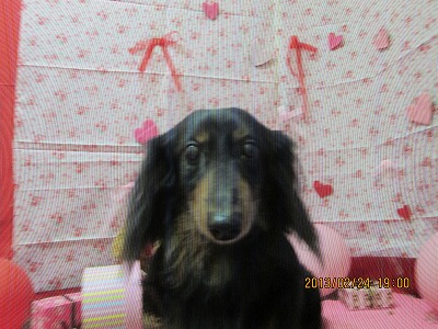 ファイル 6409-1.jpg