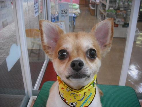 ファイル 641-1.jpg