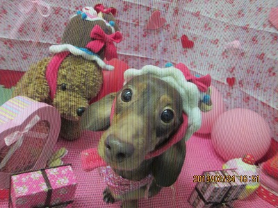 ファイル 6411-1.jpg