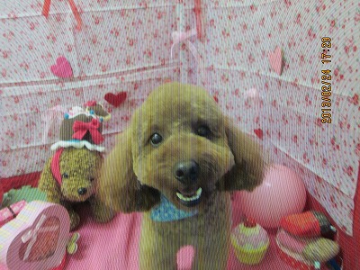 ファイル 6413-1.jpg