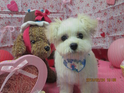 ファイル 6414-1.jpg