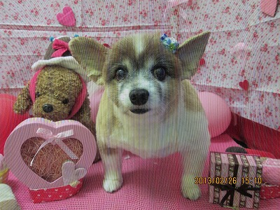 ファイル 6415-1.jpg