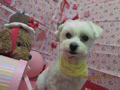 ファイル 6417-1.jpg