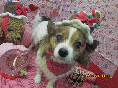 ファイル 6418-1.jpg