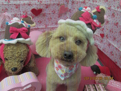 ファイル 6419-1.jpg