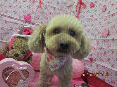 ファイル 6419-2.jpg