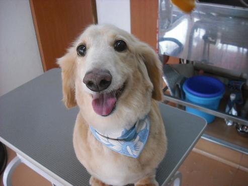 ファイル 642-1.jpg