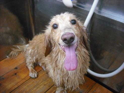 ファイル 642-2.jpg