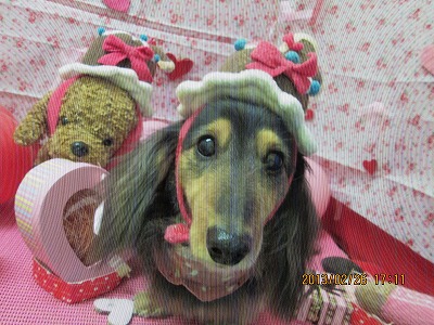 ファイル 6420-1.jpg