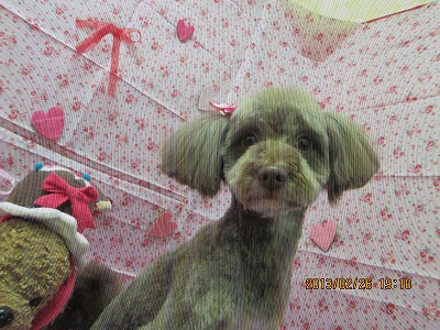 ファイル 6421-1.jpg