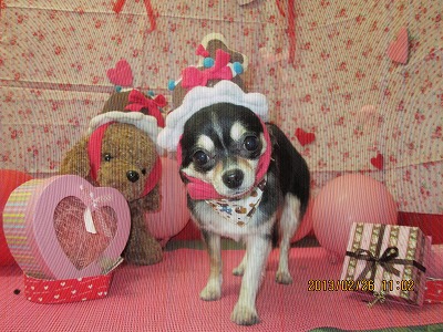 ファイル 6422-1.jpg