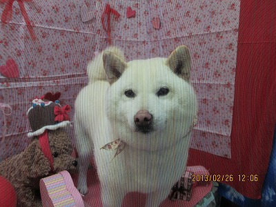 ファイル 6423-1.jpg