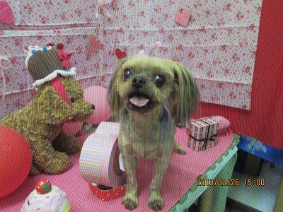 ファイル 6424-1.jpg