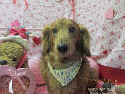 ファイル 6425-1.jpg