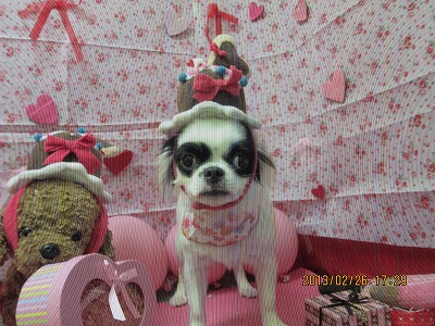 ファイル 6426-1.jpg