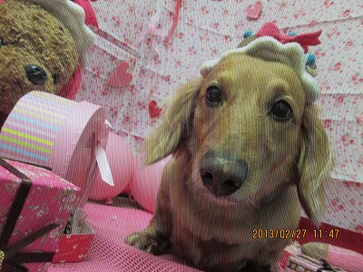 ファイル 6427-1.jpg