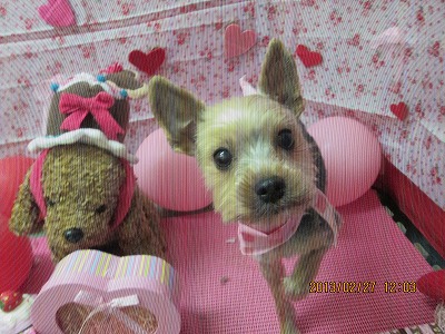 ファイル 6428-2.jpg