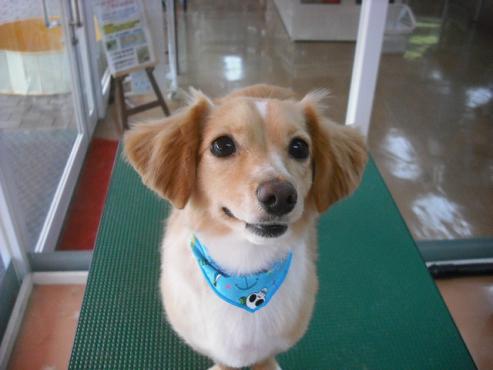 ファイル 643-1.jpg