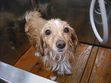 ファイル 643-2.jpg