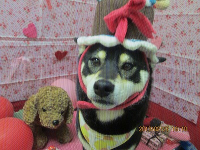 ファイル 6431-1.jpg