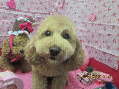 ファイル 6432-1.jpg