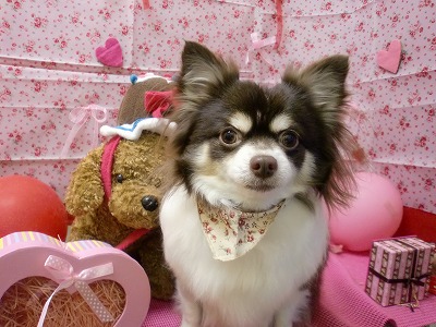 ファイル 6433-2.jpg