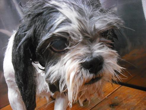 ファイル 644-2.jpg