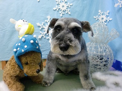 ファイル 6441-1.jpg