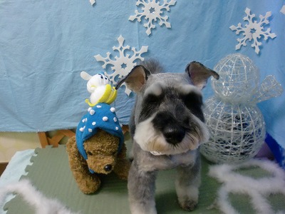 ファイル 6442-1.jpg