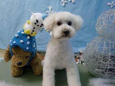 ファイル 6443-2.jpg