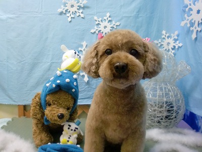 ファイル 6444-1.jpg