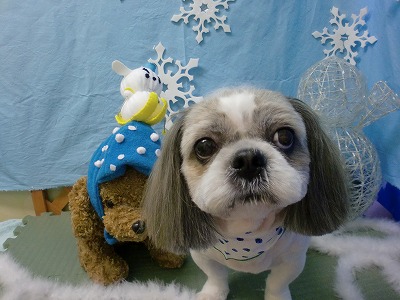 ファイル 6445-1.jpg