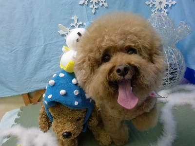 ファイル 6446-1.jpg