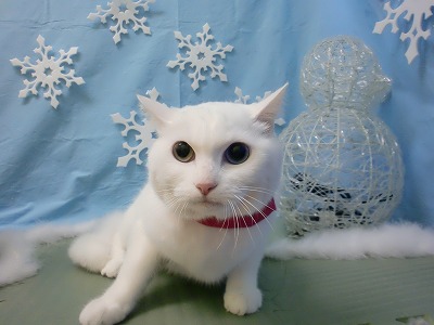 ファイル 6449-1.jpg