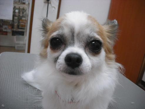 ファイル 645-1.jpg