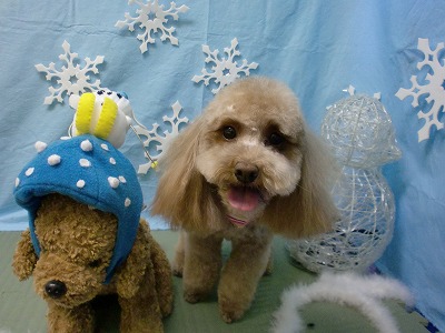 ファイル 6451-1.jpg