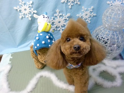 ファイル 6453-1.jpg