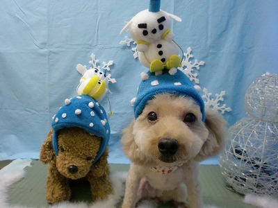 ファイル 6454-1.jpg